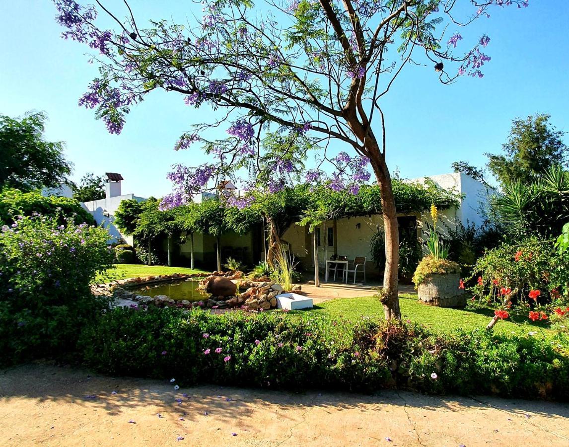 Bed and Breakfast Casa Do Alto à Vilamoura Extérieur photo